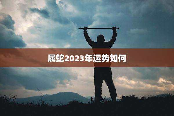 属蛇2023年运势如何