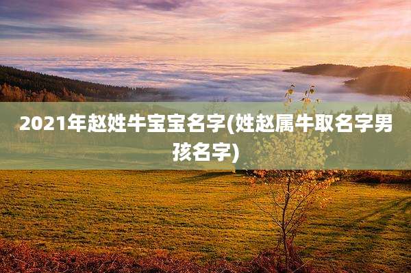 2021年赵姓牛宝宝名字(姓赵属牛取名字男孩名字)