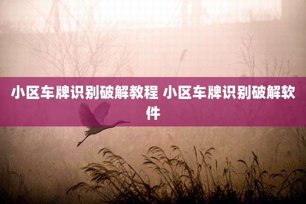小区车牌识别破解教程 小区车牌识别破解软件