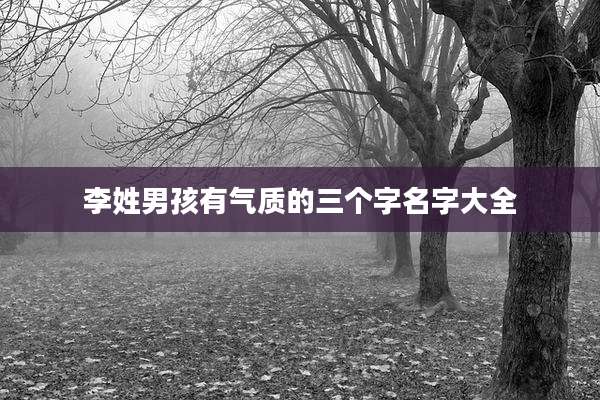 李姓男孩有气质的三个字名字大全