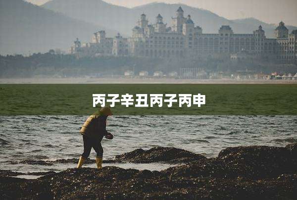 丙子辛丑丙子丙申