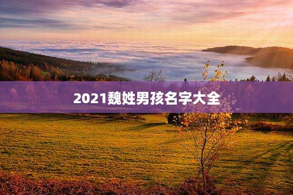 2021魏姓男孩名字大全
