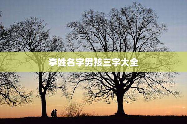 李姓名字男孩三字大全