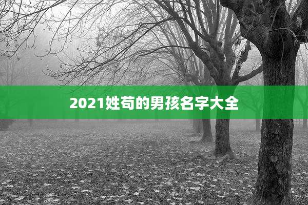 2021姓苟的男孩名字大全