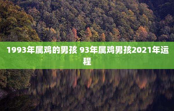 1993年属鸡的男孩 93年属鸡男孩2021年运程