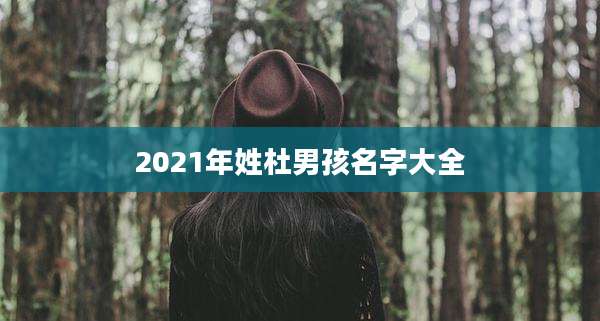 2021年姓杜男孩名字大全