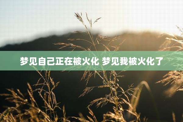 梦见自己正在被火化 梦见我被火化了