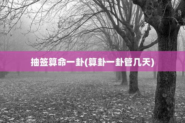 抽签算命一卦(算卦一卦管几天)