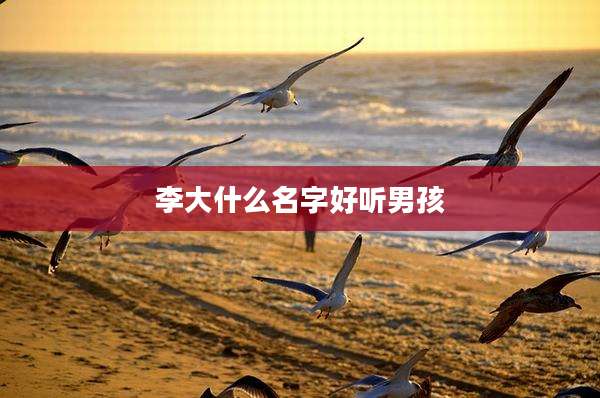 李大什么名字好听男孩