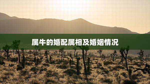 属牛的婚配属相及婚姻情况