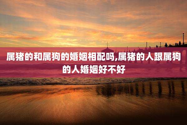 属猪的和属狗的婚姻相配吗,属猪的人跟属狗的人婚姻好不好