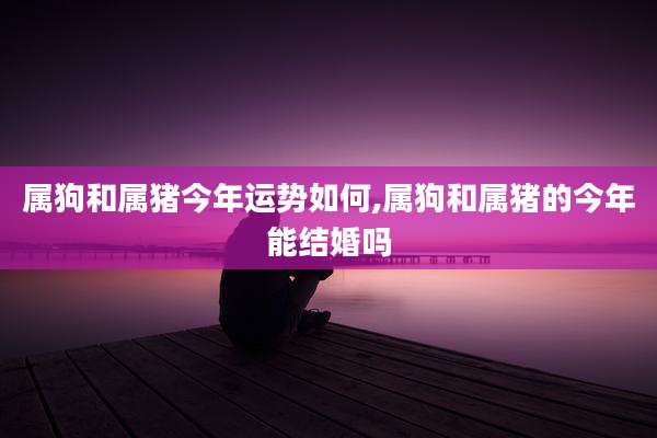 属狗和属猪今年运势如何,属狗和属猪的今年能结婚吗