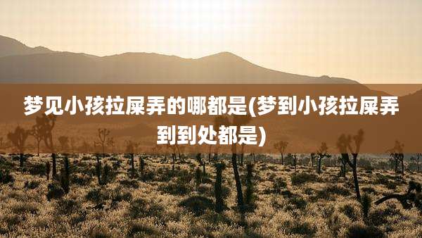 梦见小孩拉屎弄的哪都是(梦到小孩拉屎弄到到处都是)