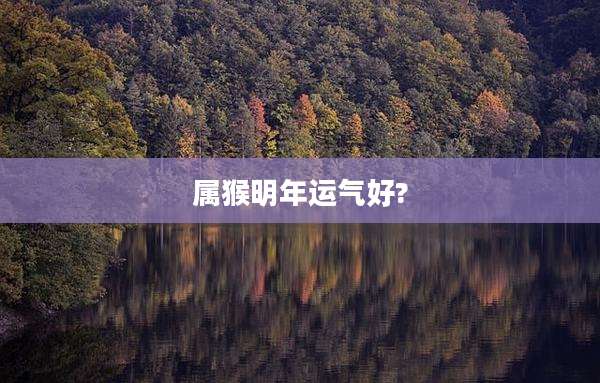 属猴明年运气好?