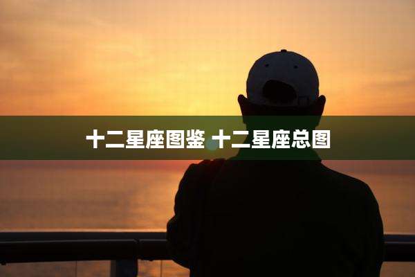 十二星座图鉴 十二星座总图