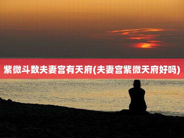 紫微斗数夫妻宫有天府(夫妻宫紫微天府好吗)