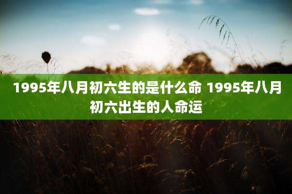 1995年八月初六生的是什么命 1995年八月初六出生的人命运