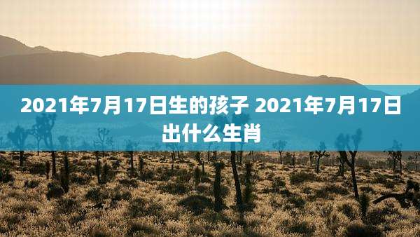 2021年7月17日生的孩子 2021年7月17日出什么生肖