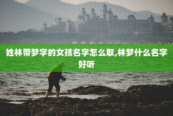 姓林带梦字的女孩名字怎么取,林梦什么名字好听