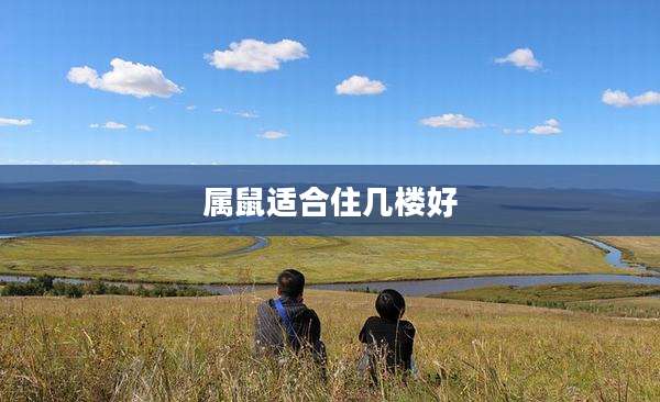 属鼠适合住几楼好