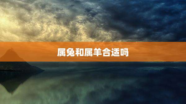 属兔和属羊合适吗