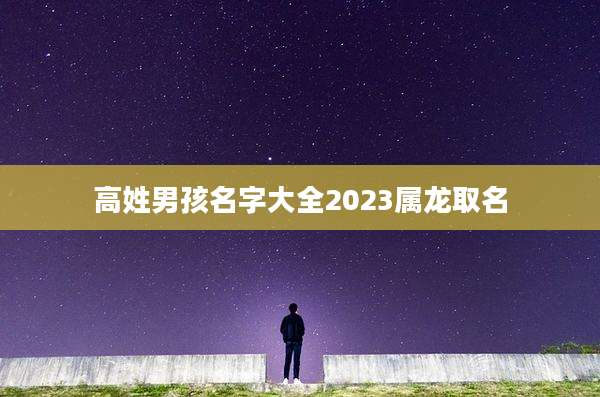 高姓男孩名字大全2023属龙取名
