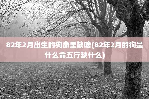 82年2月出生的狗命里缺啥(82年2月的狗是什么命五行缺什么)
