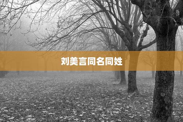刘美言同名同姓
