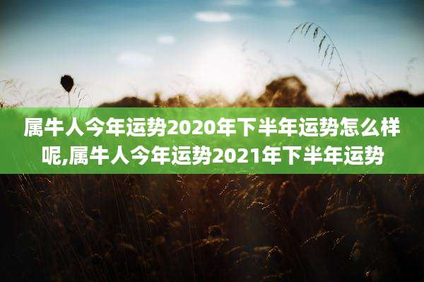 属牛人今年运势2020年下半年运势怎么样呢,属牛人今年运势2021年下半年运势