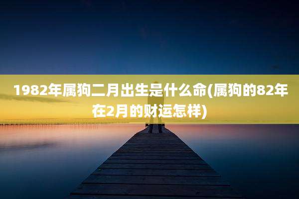 1982年属狗二月出生是什么命(属狗的82年在2月的财运怎样)