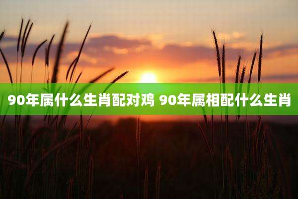 90年属什么生肖配对鸡 90年属相配什么生肖
