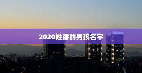2020姓潘的男孩名字