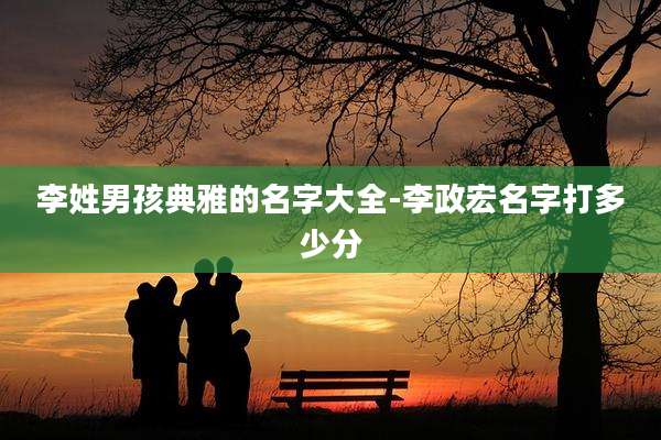 李姓男孩典雅的名字大全-李政宏名字打多少分
