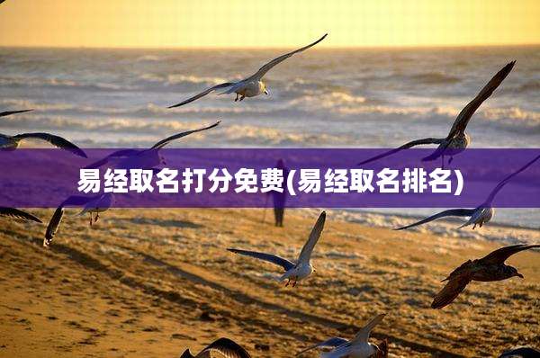 易经取名打分免费(易经取名排名)