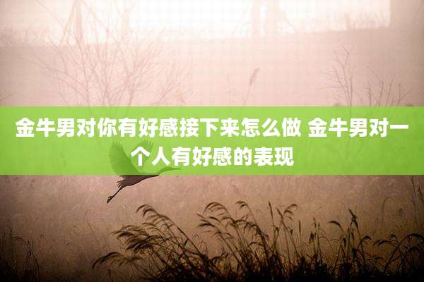 金牛男对你有好感接下来怎么做 金牛男对一个人有好感的表现