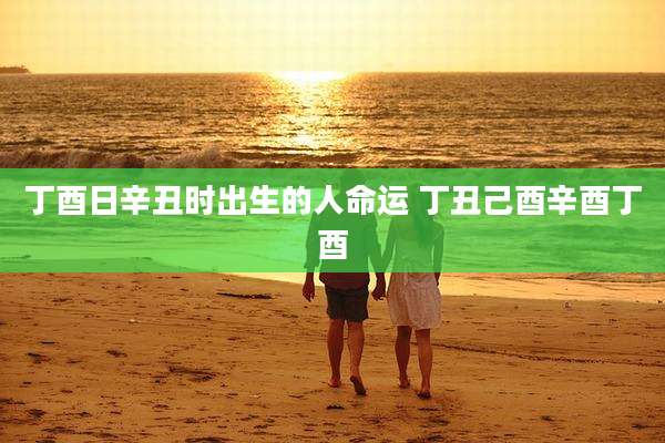 丁酉日辛丑时出生的人命运 丁丑己酉辛酉丁酉