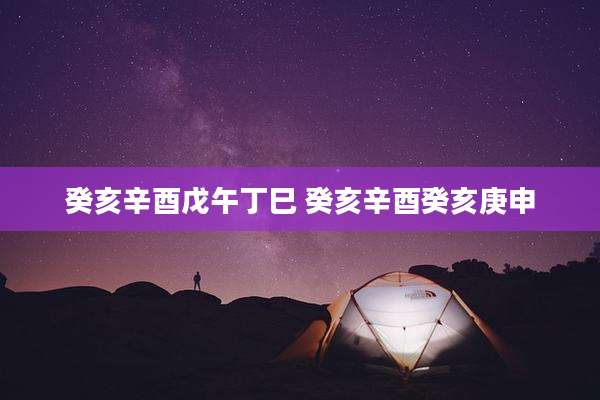 癸亥辛酉戊午丁巳 癸亥辛酉癸亥庚申