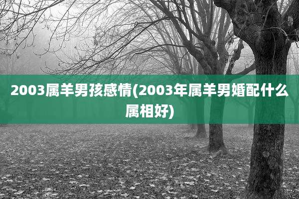 2003属羊男孩感情(2003年属羊男婚配什么属相好)