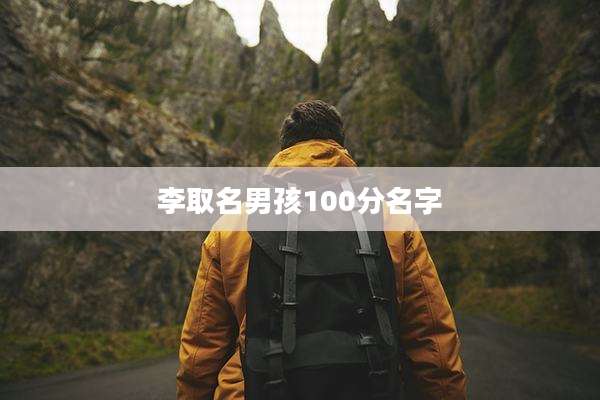 李取名男孩100分名字