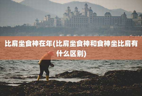 比肩坐食神在年(比肩坐食神和食神坐比肩有什么区别)