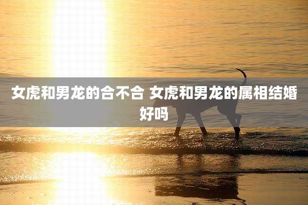 女虎和男龙的合不合 女虎和男龙的属相结婚好吗