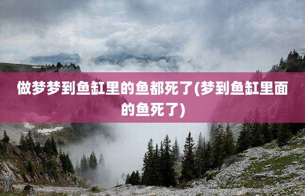 做梦梦到鱼缸里的鱼都死了(梦到鱼缸里面的鱼死了)