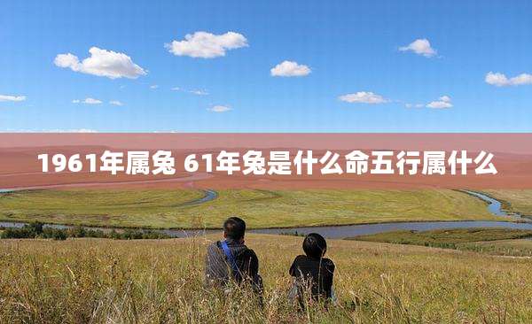 1961年属兔 61年兔是什么命五行属什么