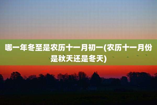 哪一年冬至是农历十一月初一(农历十一月份是秋天还是冬天)