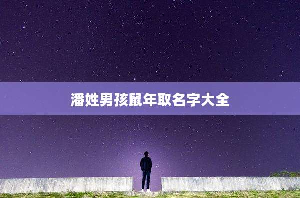 潘姓男孩鼠年取名字大全