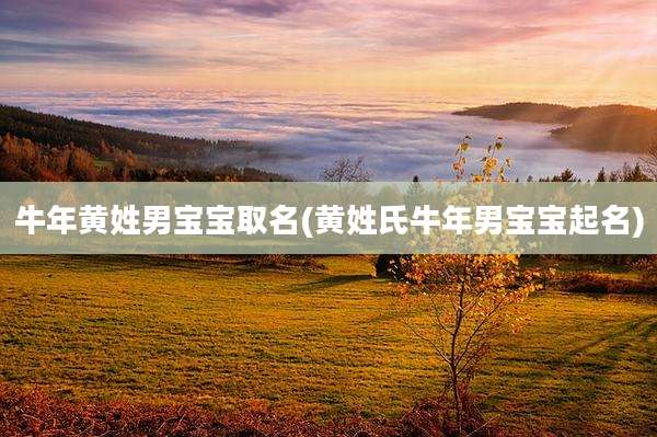 牛年黄姓男宝宝取名(黄姓氏牛年男宝宝起名)