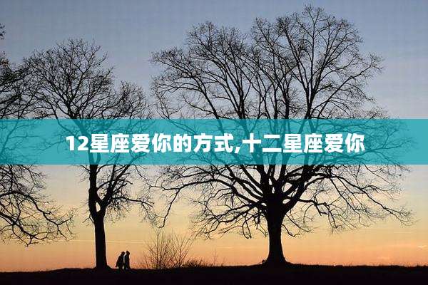 12星座爱你的方式,十二星座爱你