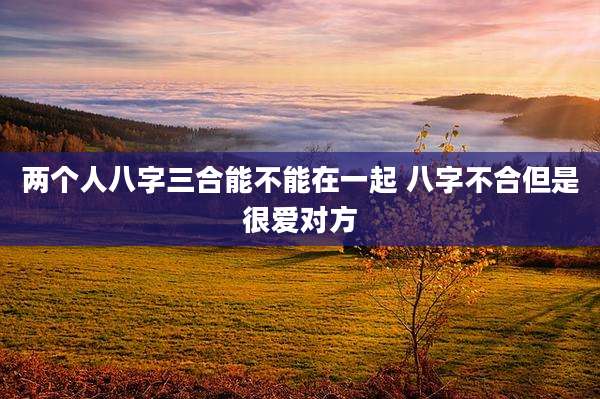 两个人八字三合能不能在一起 八字不合但是很爱对方