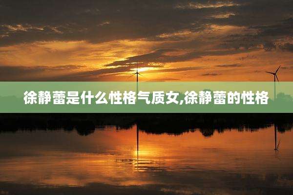 徐静蕾是什么性格气质女,徐静蕾的性格