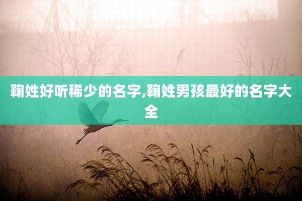 鞠姓好听稀少的名字,鞠姓男孩最好的名字大全